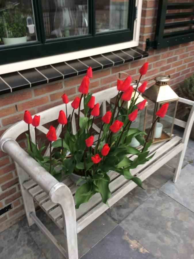 Flowerbed Voorhout Exterior photo