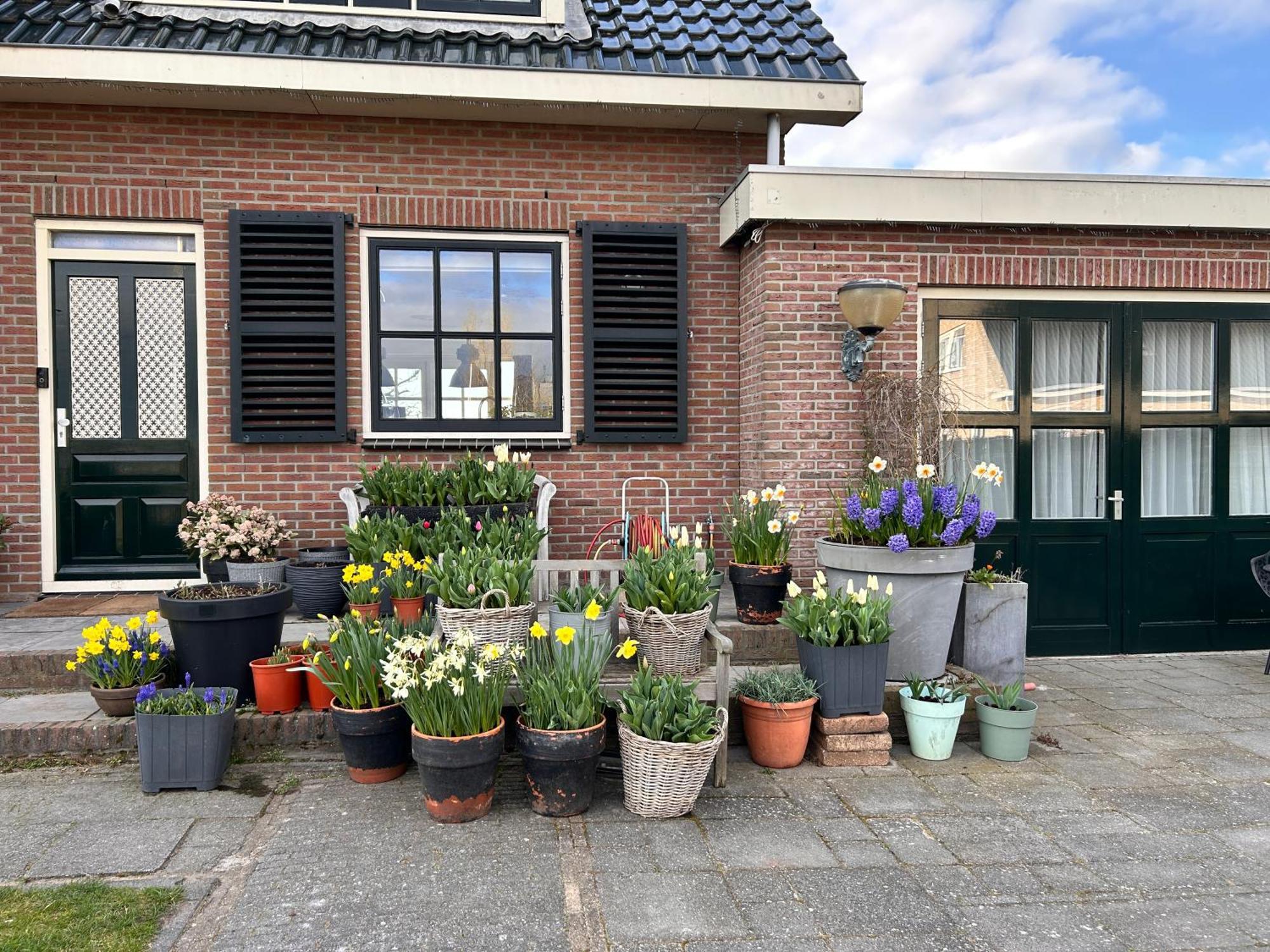 Flowerbed Voorhout Exterior photo